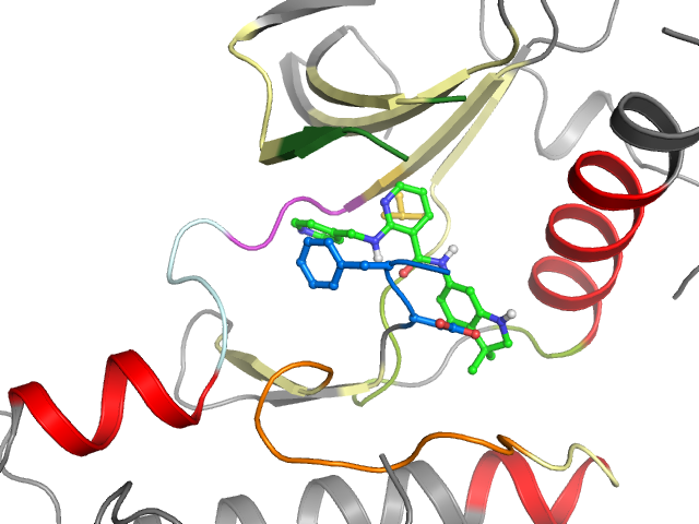 The orthosteric binding pocket