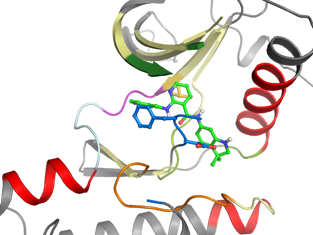 The orthosteric binding pocket