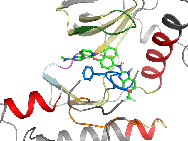 The orthosteric binding pocket