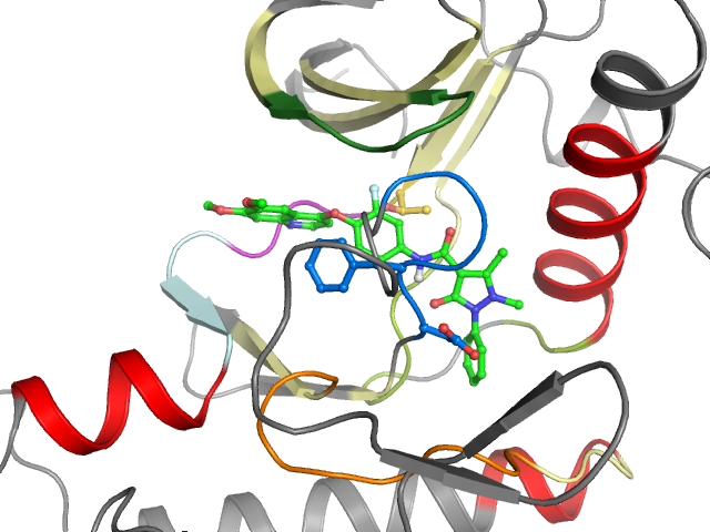 The orthosteric binding pocket