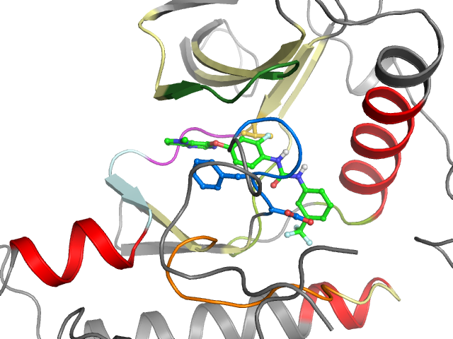 The orthosteric binding pocket