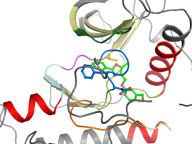 The orthosteric binding pocket