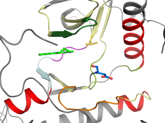 The orthosteric binding pocket