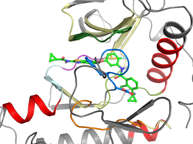 The orthosteric binding pocket