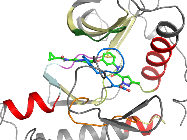 The orthosteric binding pocket