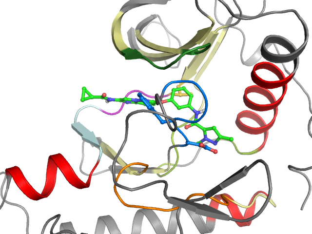 The orthosteric binding pocket