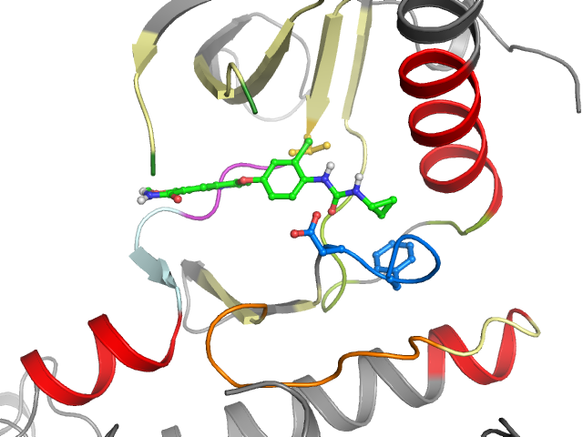 The orthosteric binding pocket
