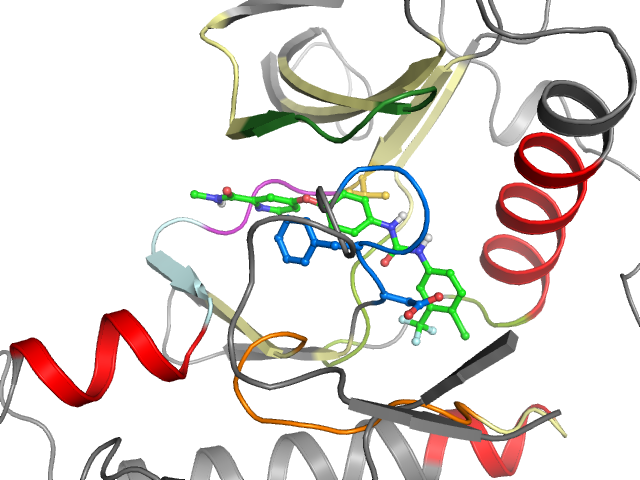 The orthosteric binding pocket