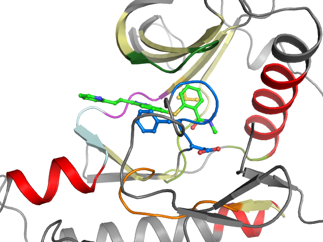 The orthosteric binding pocket