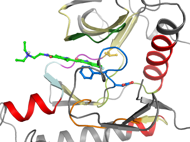 The orthosteric binding pocket