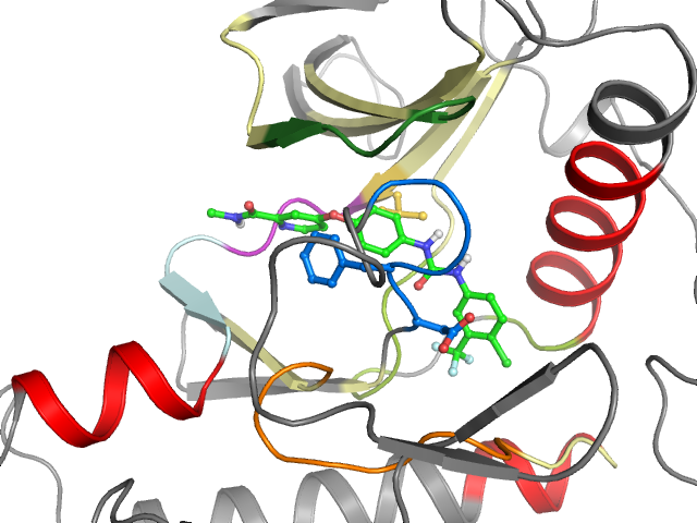 The orthosteric binding pocket