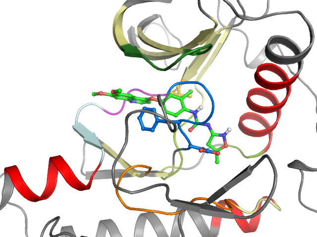 The orthosteric binding pocket
