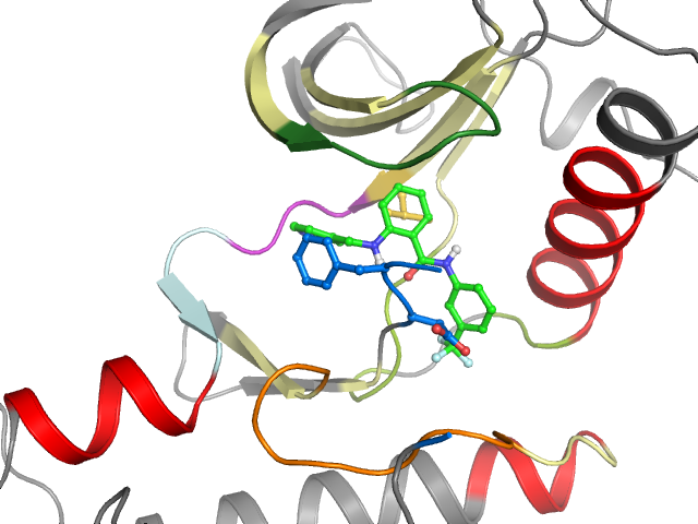 The orthosteric binding pocket