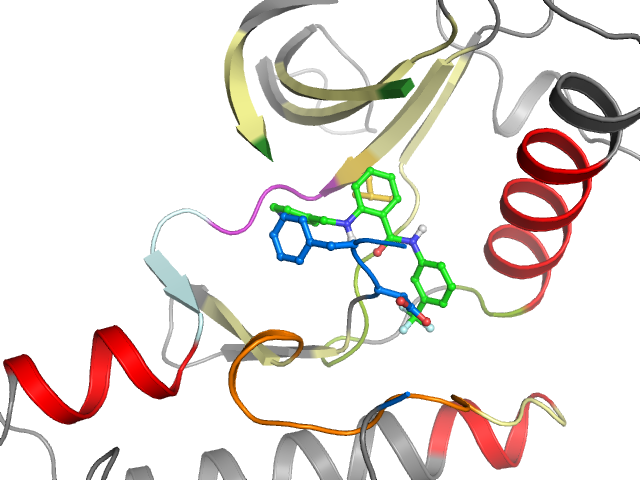 The orthosteric binding pocket