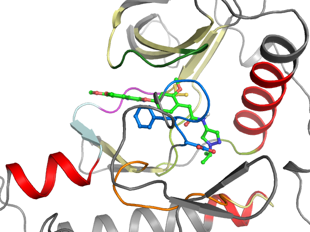 The orthosteric binding pocket