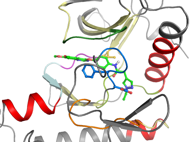 The orthosteric binding pocket