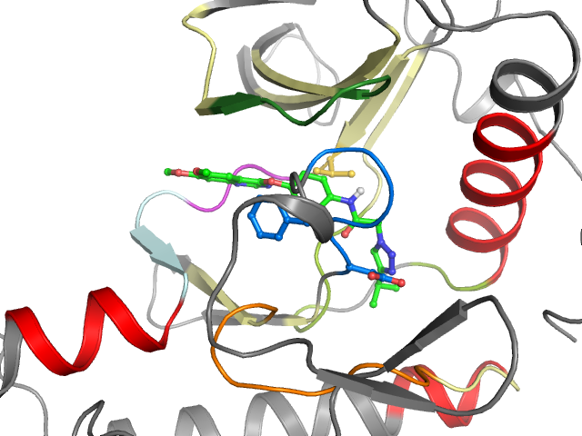 The orthosteric binding pocket