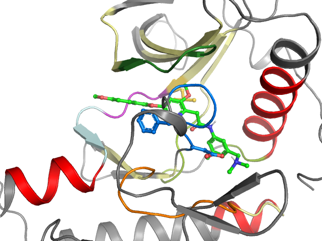The orthosteric binding pocket