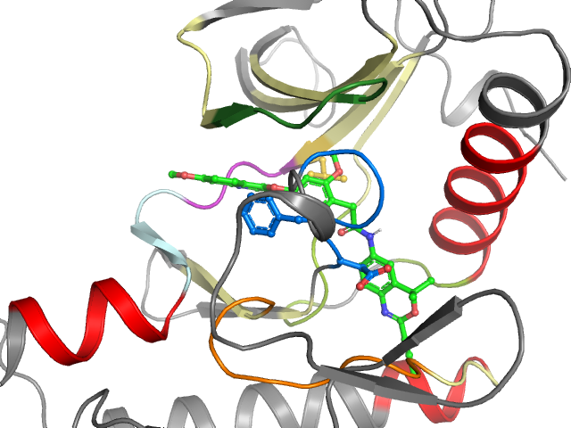 The orthosteric binding pocket