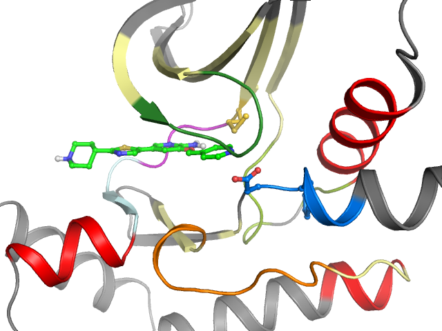 The orthosteric binding pocket