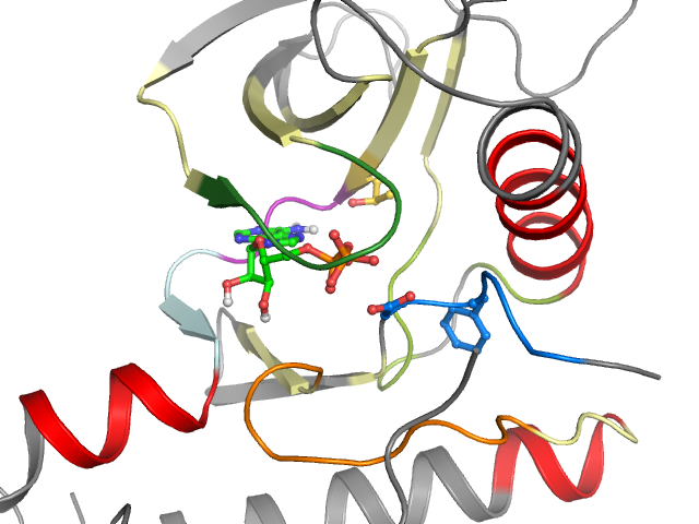 The orthosteric binding pocket
