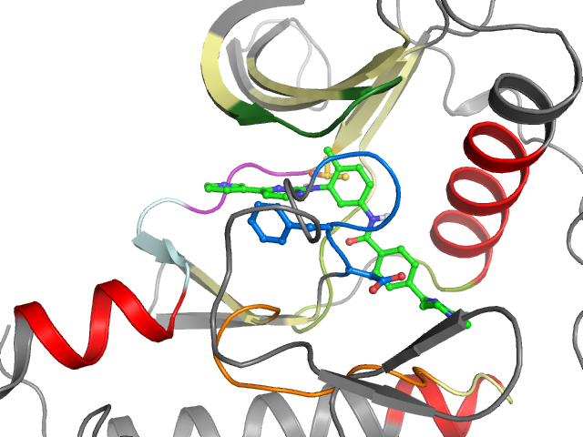 The orthosteric binding pocket