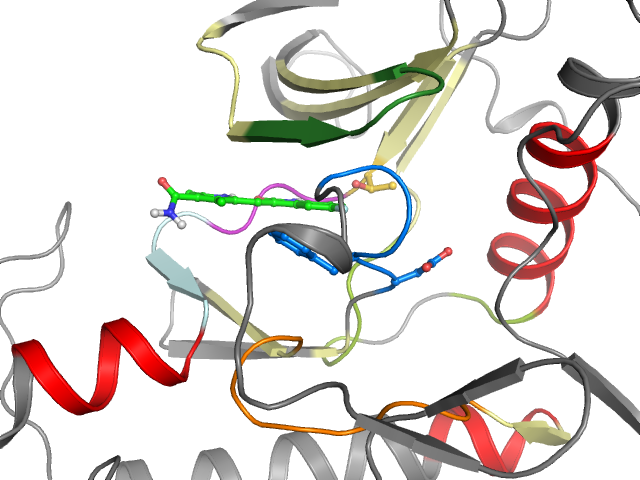 The orthosteric binding pocket