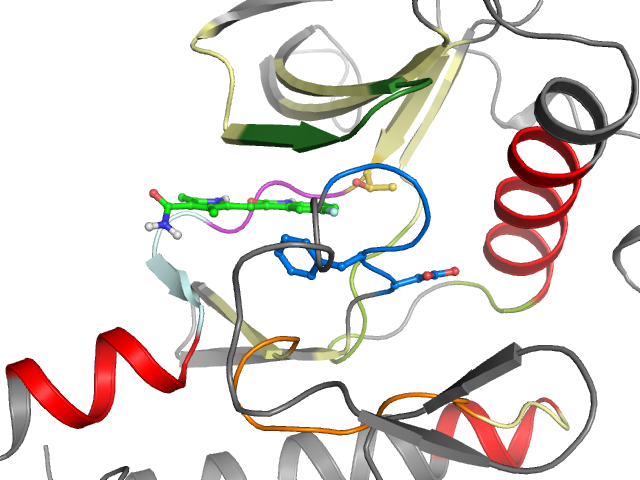 The orthosteric binding pocket