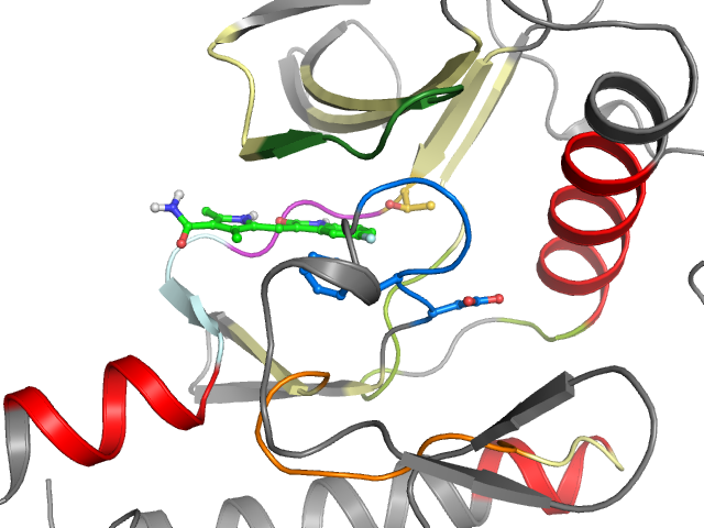 The orthosteric binding pocket