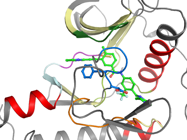 The orthosteric binding pocket
