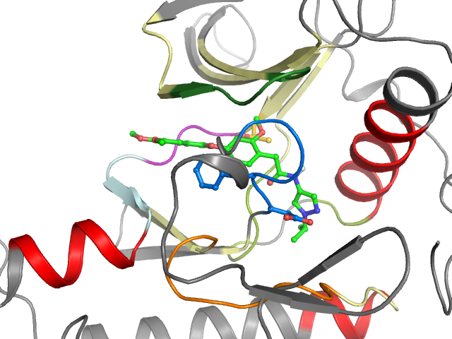 The orthosteric binding pocket