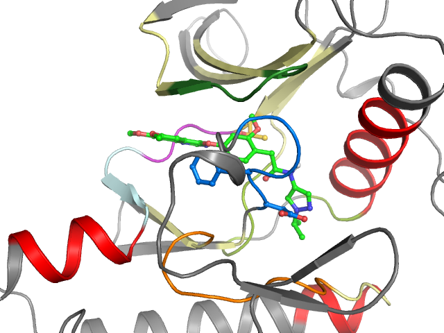 The orthosteric binding pocket