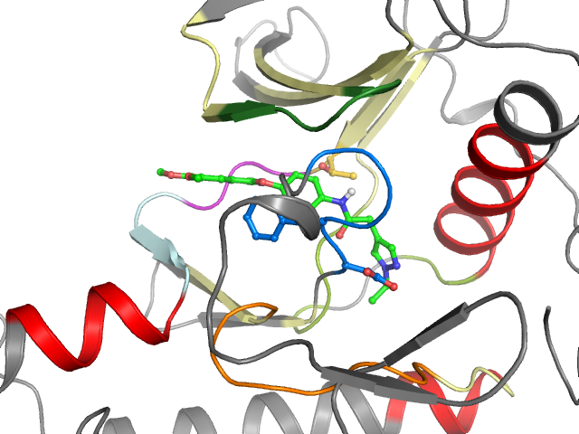 The orthosteric binding pocket