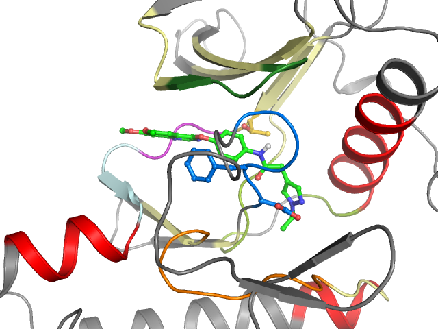 The orthosteric binding pocket