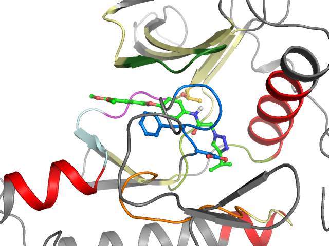 The orthosteric binding pocket