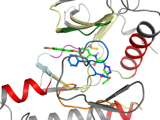 The orthosteric binding pocket