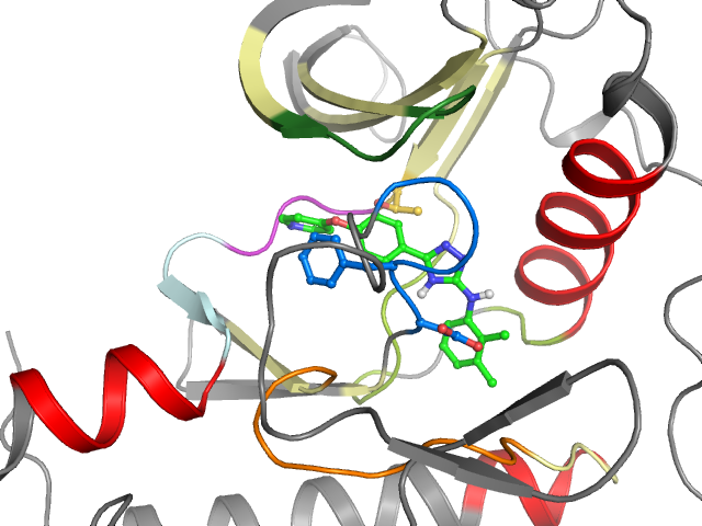 The orthosteric binding pocket