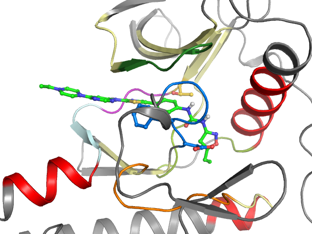 The orthosteric binding pocket