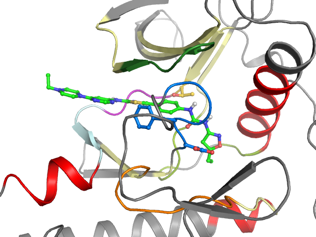 The orthosteric binding pocket
