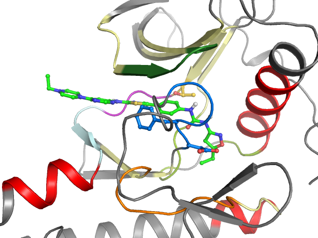 The orthosteric binding pocket