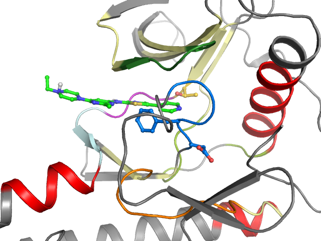 The orthosteric binding pocket