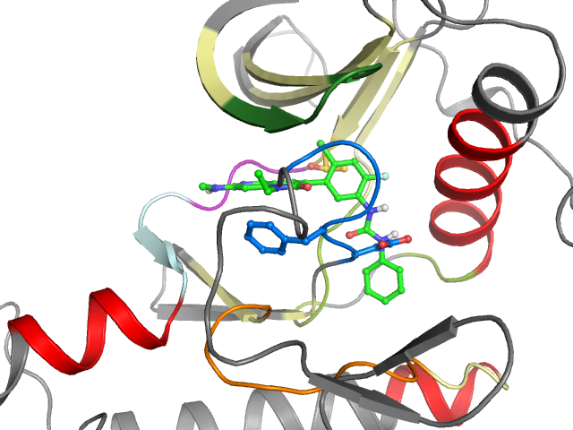 The orthosteric binding pocket
