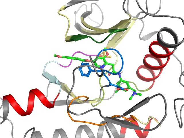 The orthosteric binding pocket