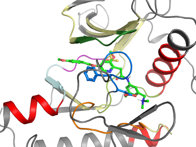 The orthosteric binding pocket