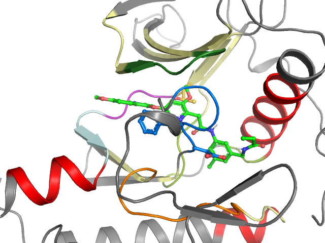 The orthosteric binding pocket