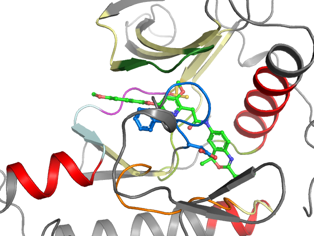 The orthosteric binding pocket