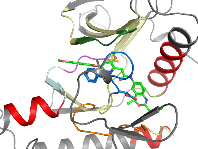 The orthosteric binding pocket