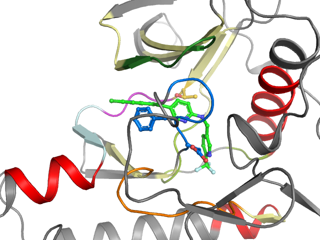 The orthosteric binding pocket