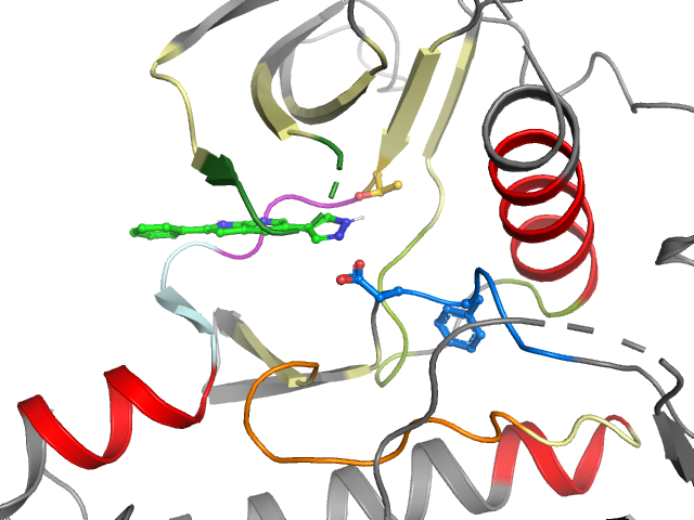 The orthosteric binding pocket