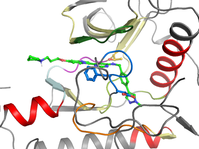The orthosteric binding pocket